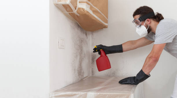 Professional Black Mold Removal technician working in Butler, NJ