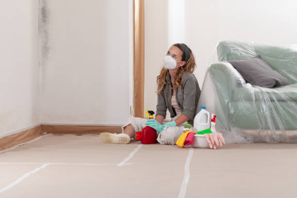 Reliable Black Mold Removal contractor in Butler, NJ by WQB Mold Removal